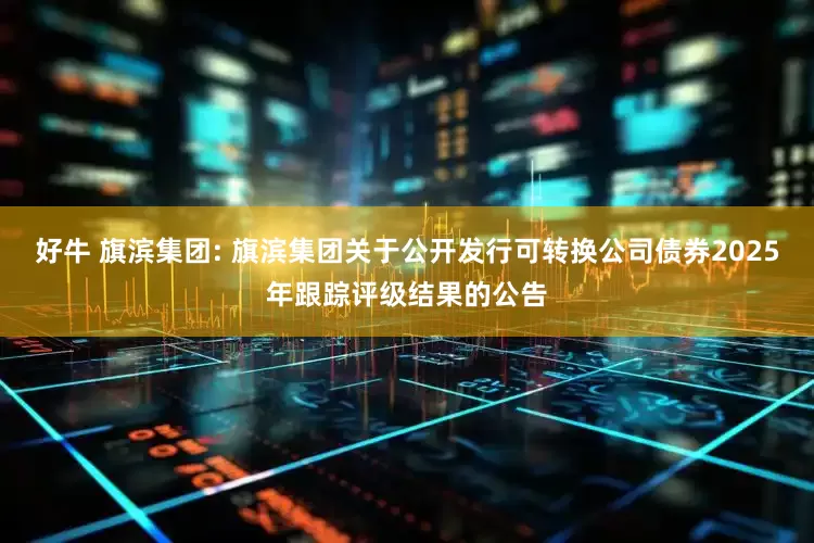 好牛 旗滨集团: 旗滨集团关于公开发行可转换公司债券2025年跟踪评级结果的公告