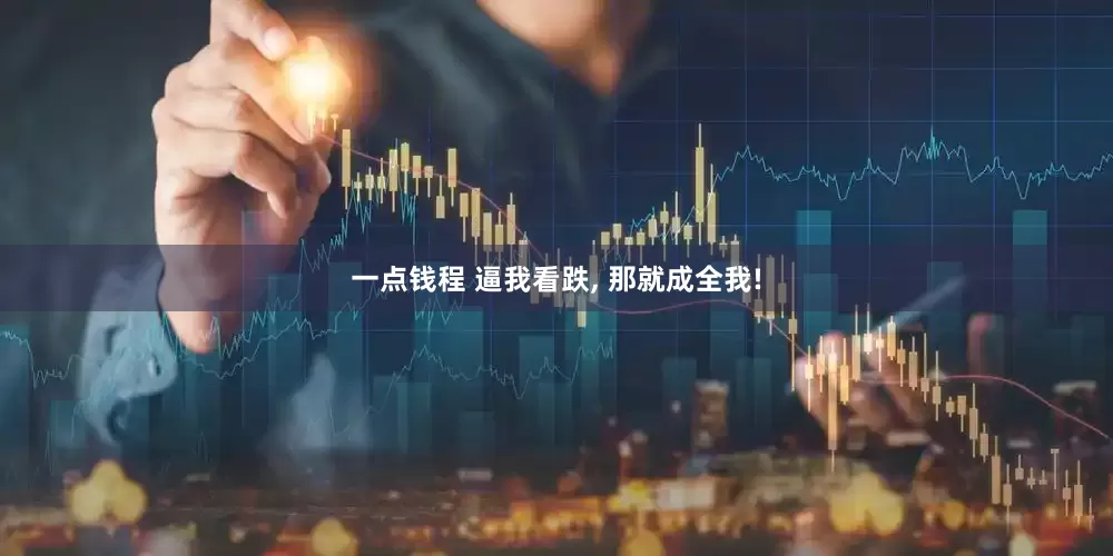 一点钱程 逼我看跌, 那就成全我!