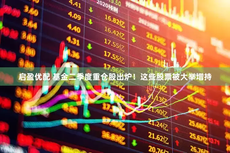 启盈优配 基金二季度重仓股出炉！这些股票被大举增持