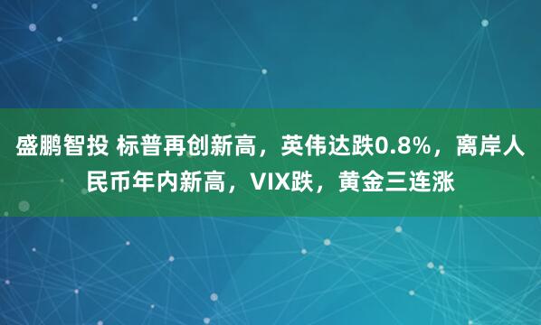 盛鹏智投 标普再创新高，英伟达跌0.8%，离岸人民币年内新高，VIX跌，黄金三连涨