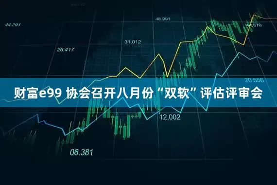 财富e99 协会召开八月份“双软”评估评审会