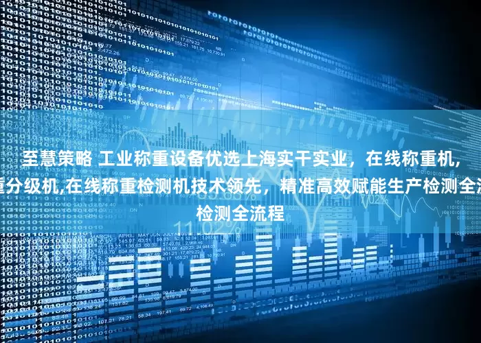 至慧策略 工业称重设备优选上海实干实业，在线称重机,称重分级机,在线称重检测机技术领先，精准高效赋能生产检测全流程
